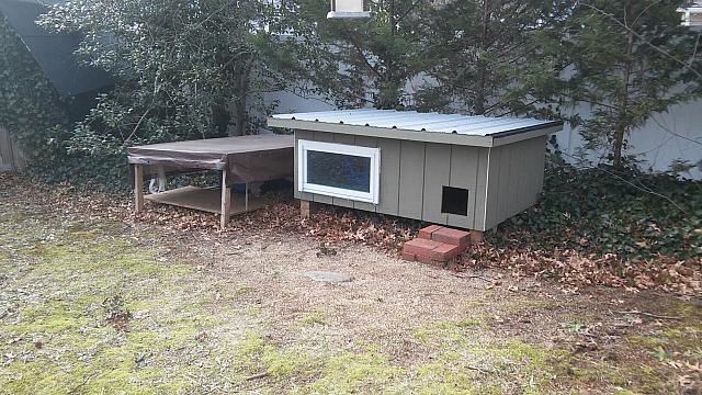 house5