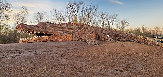 gator bonfire