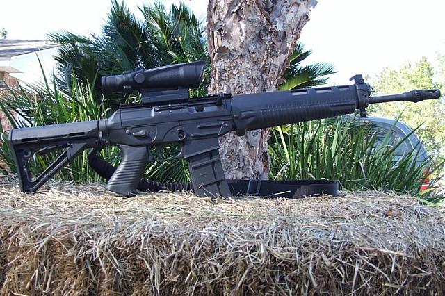 Sig 556 with 552 Handguards