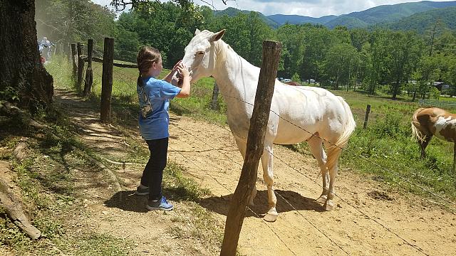 danica horse whisperer 1