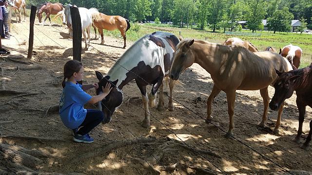 danica horse whisperer 3