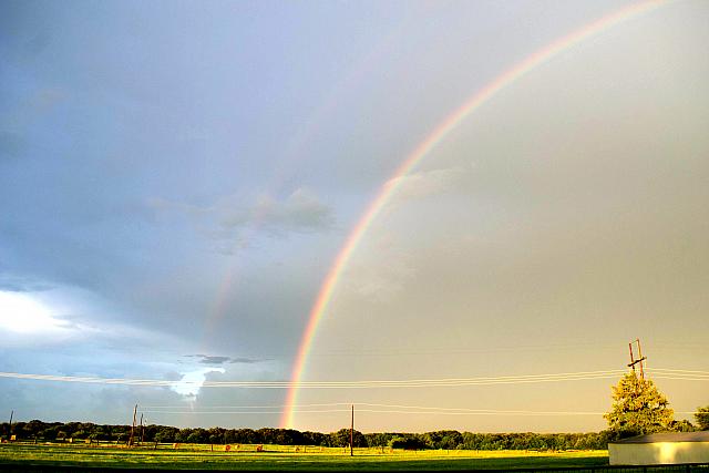 rainbow-19