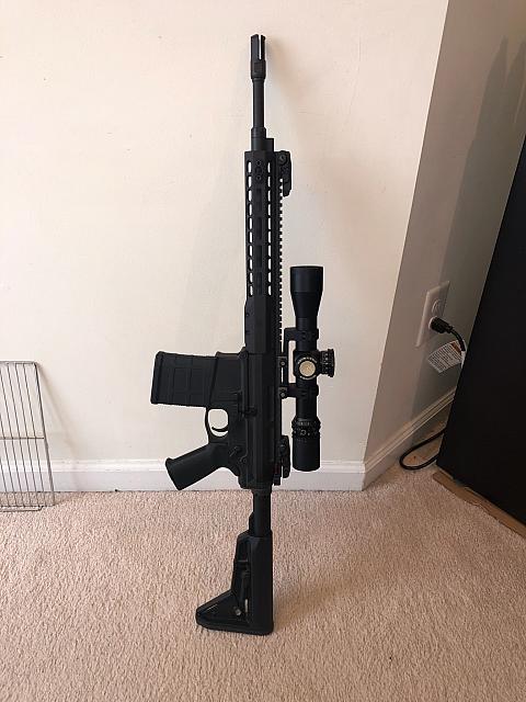 stock