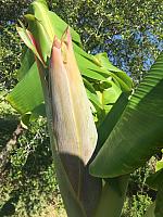 DrDan's Pics