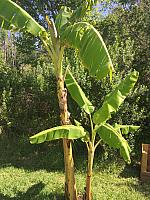 IMG 2689