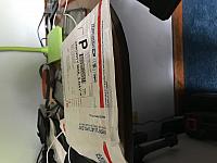 IMG 0008
