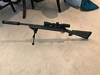 IMG 0579