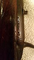 IMG 1759