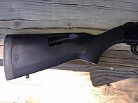 IMG 2888