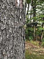 IMG 4793