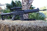 Sig 556 with 552 Handguards