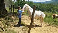 danica horse whisperer 1