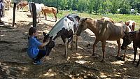 danica horse whisperer 3