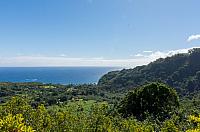 20210927-DSC 3211