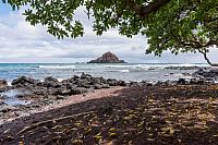 20210927-DSC 3290