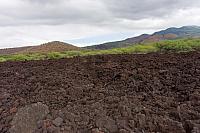 20210930-DSC 4128
