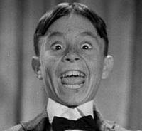 alfalfa (4)