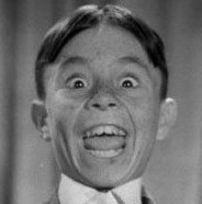 alfalfa (8)